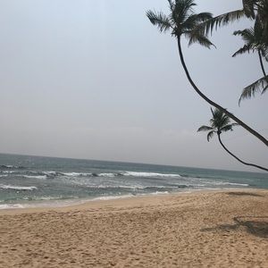 Meet your Posher, Bre